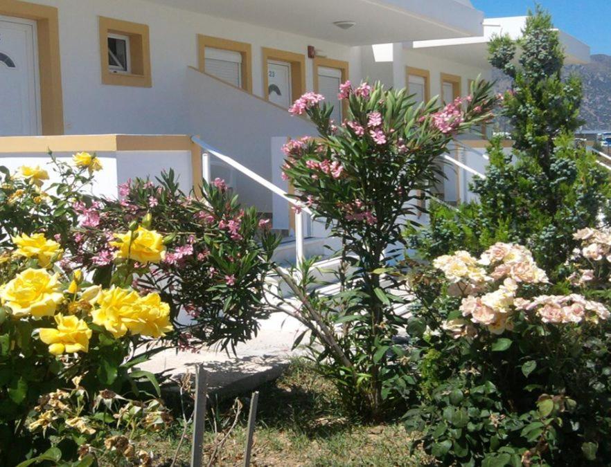 Nikos 2 Studios & Apartments Kardamena  Quarto foto
