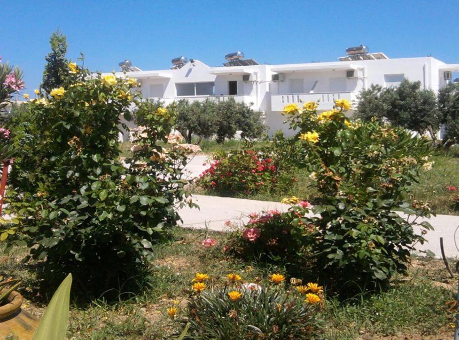 Nikos 2 Studios & Apartments Kardamena  Quarto foto